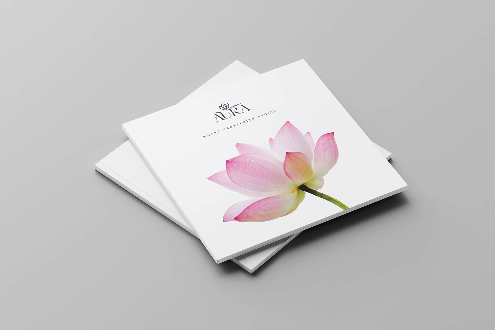 Subha pradha aura Brochure